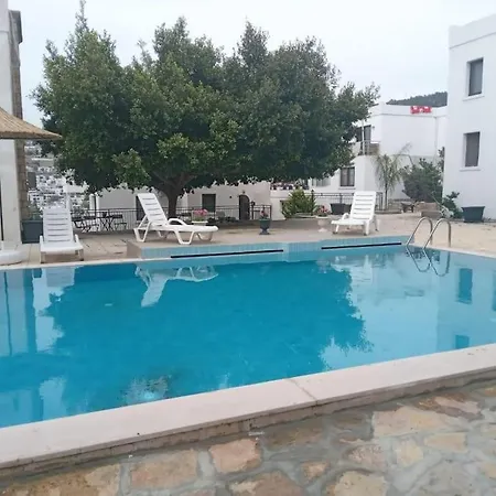 Cozy And Central With Shared Pool Near Beach In *